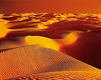 美少女动作游戏《武士少女》正式登陆PS和Switch 售价468港币